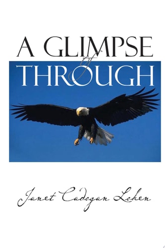 A Glimpse of Through