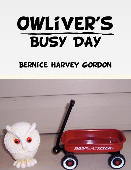 Owlivers Busy Day