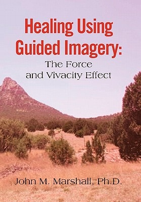 Healing Using Guided Imagery The Force and Vivacity Effect
