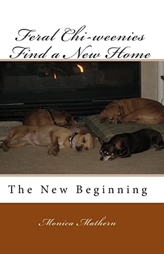 Feral Chi-weenies Find a New Home The New Beginning