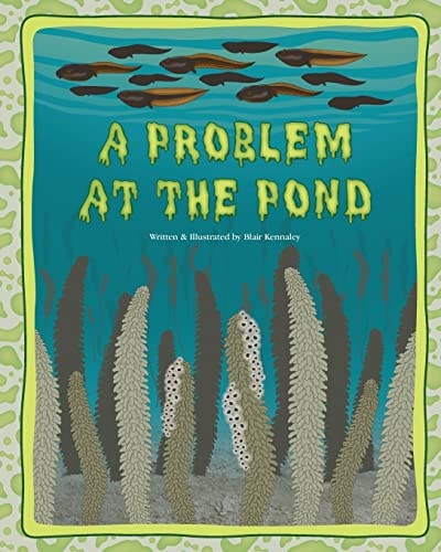 A Problem at the Pond