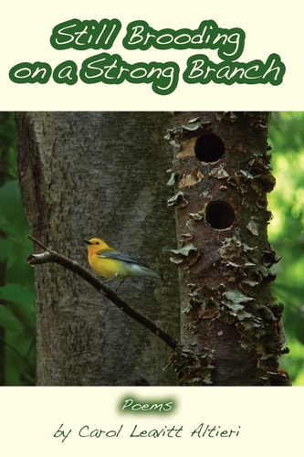 Still Brooding on a Strong Branch Poems by Carol Leavitt Altieri