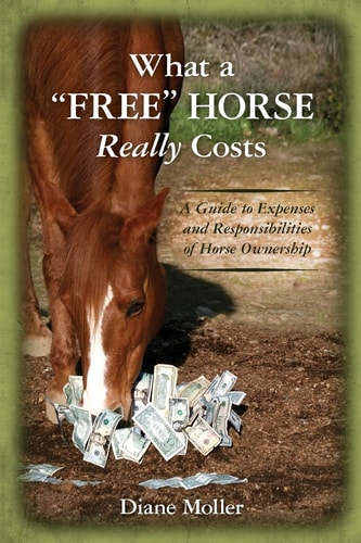 What a "Free" Horse Really Costs A Guide to Expenses and Responsibilities of Horse Ownership
