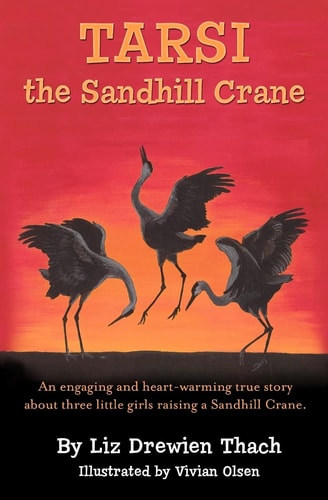 Tarsi, the Sandhill Crane