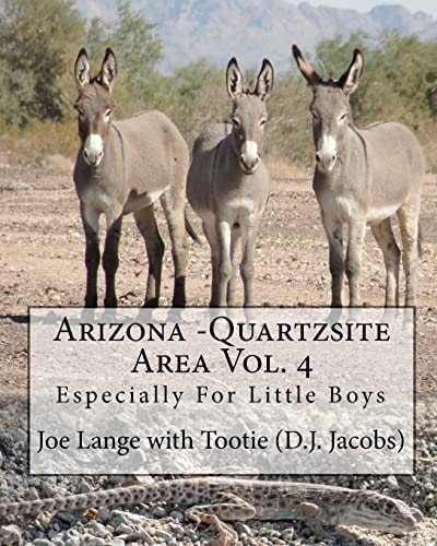 Arizona - Quartzsite Area Vol. 4 Especially For Little Boys