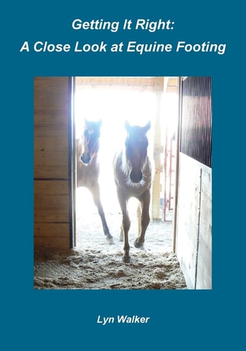 Getting It Right A Close Look at Equine Footing