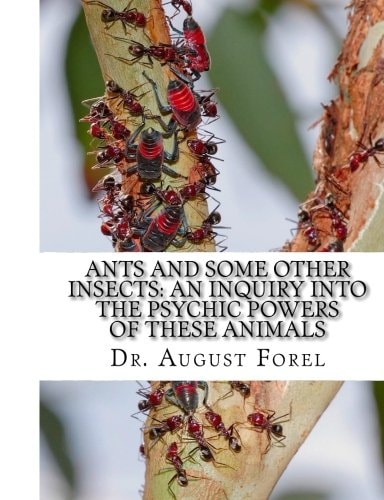 Ants And Some Other Insects An Inquiry Into The Psychic Powers of These Animals