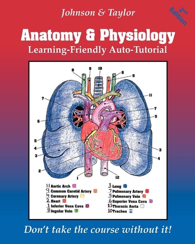 Anatomy and Physiology Learning-Friendly Auto-Tutorial