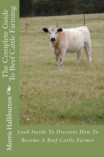 The Complete Guide To Beef Cattle Farming Look Inside To Discover How To Become A Beef Cattle Farmer