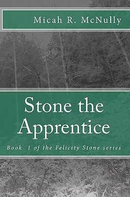 Stone the Apprentice Book 1 of the Felicity Stone Series