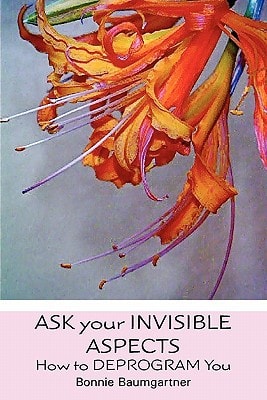 Ask Your Invisible Aspects How to Deprogram You