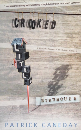 Crooked Little Birdhouse