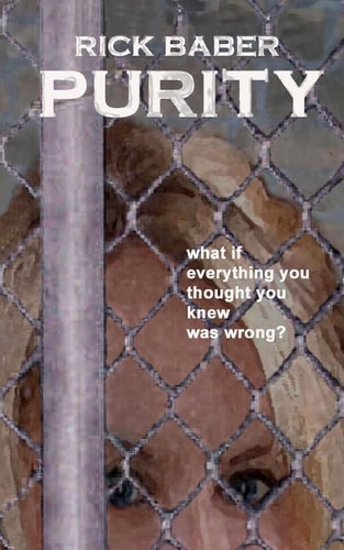 Purity What If Everything You Thought You Knew Was Wrong?