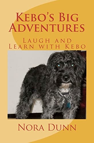 Kebo's Big Adventures Life Is What You Make It