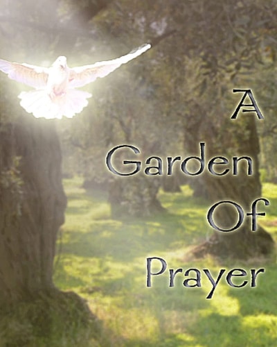 A Garden of Prayer Every Tear You Cried Is Water for the Garden of Your Victory