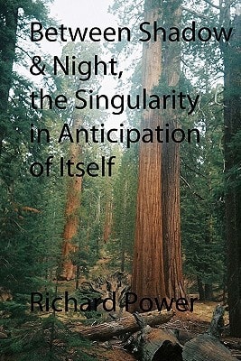 Between Shadow and Night, The Singularity in Anticipation of Itself