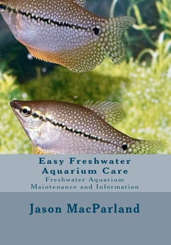 Easy Freshwater Aquarium Care Freshwater Aquarium Maintenance and Information
