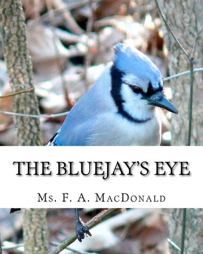 The Bluejay's Eye