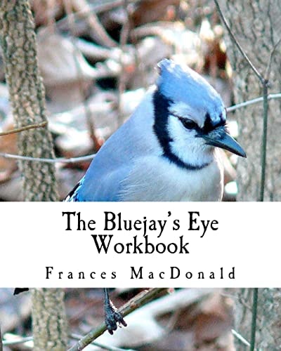 The Bluejay's Eye Workbook