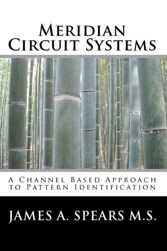 Meridian Circuit Systems A Channel Based Approach to Pattern Identification