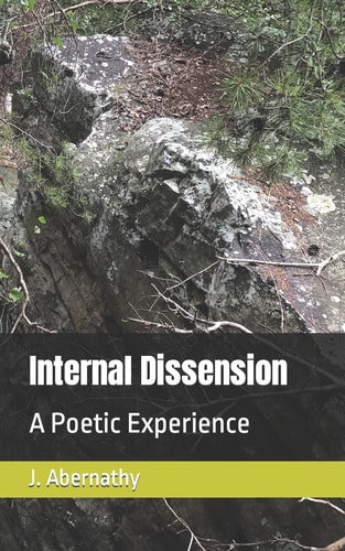 Internal Dissension A Poetic Experience