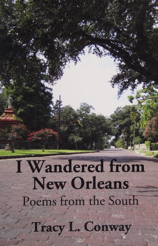 I Wandered from New Orleans Poems from the South