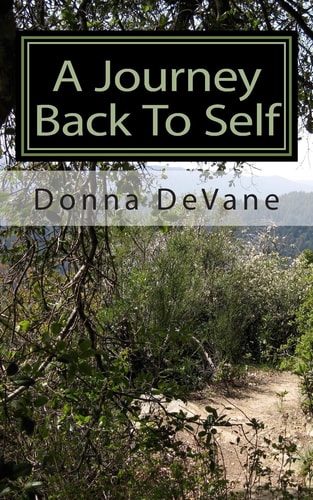 A Journey Back To Self Lessons for Healing