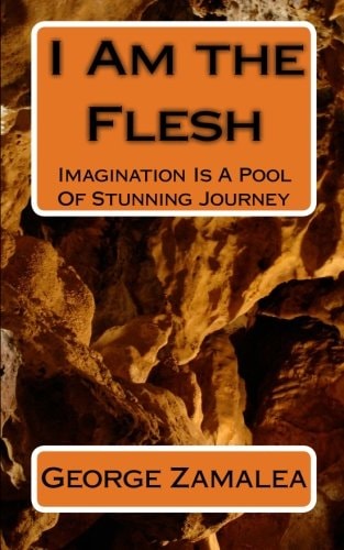 I Am the Flesh Imagination Is A Pool Of Stunning Journey
