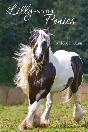 Lilly and the Ponies