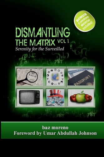 Dismantling the Matrix Serenity for the Surveilled