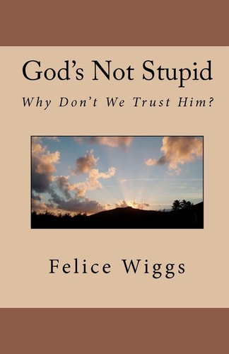 God's Not Stupid Why Don't We Trust Him?