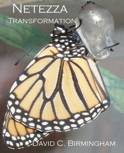 Netezza Transformation Taming the Dragon Without Alchemy, Sorcery Or Strange Potions