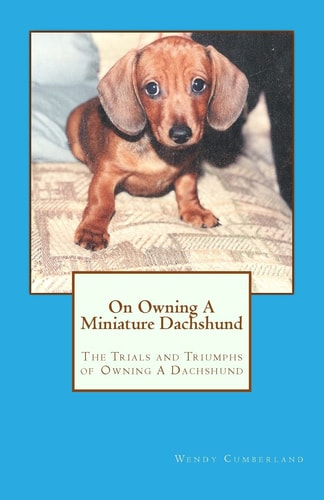 On Owning a Miniature Dachshund The Trials and Triumphs of Owning a Dachshund
