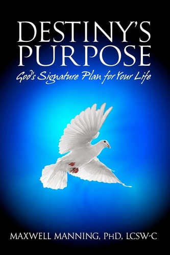 Destiny's Purpose God's Signature Plan For Your LIfe