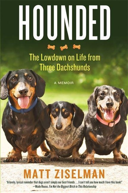 HOUNDED