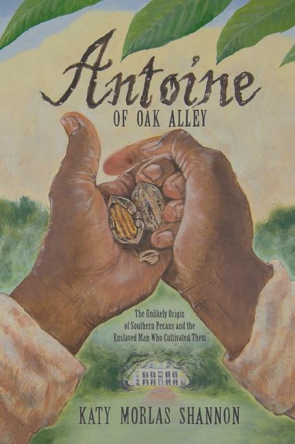 Antoine of Oak Alley: The Unlikely Origin of Southern Pecans and the Enslaved Man Who Cultivated Them