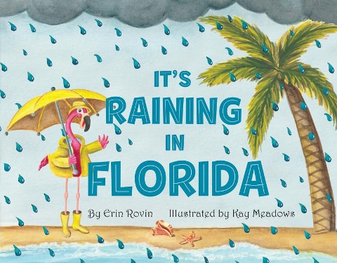 Its Raining in Florida