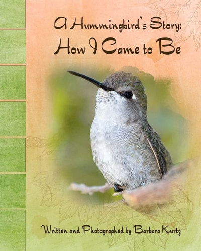 A Hummingbird's Story How I Came to Be