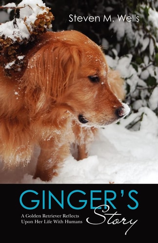 Ginger's Story A Golden Retriever Reflects Upon Her Life With Humans