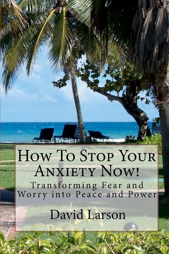 How To Stop Your Anxiety Now Transforming Fear and Worry Into Peace and Power