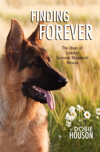 Finding Forever The Dogs of Coastal German Shepherd Rescue