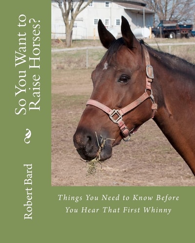 So You Want to Raise Horses? Things You Need to Know Before You Hear That First Whinny