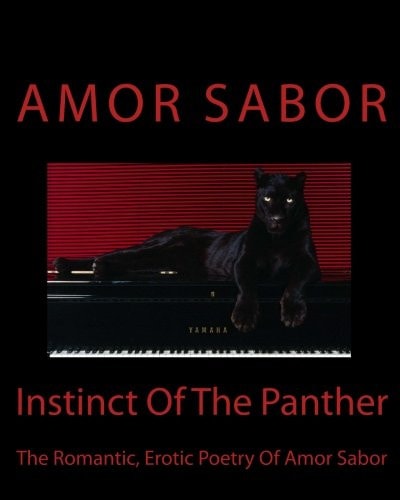 Instinct Of The Panther The Romantic Poetry Of Amor Sabor