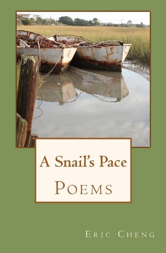 A Snail's Pace