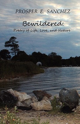 Bewildered Poetry of Life, Love, and Nature