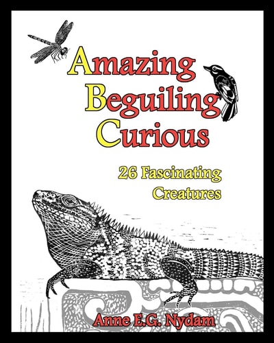Amazing, Beguiling, Curious 26 Fascinating Creatures