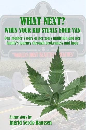 What Next? When Your Kid Steals Your Van One Mother's Story of Her Son's Addiction and Her Family's Journey Through Brokenness and Hope