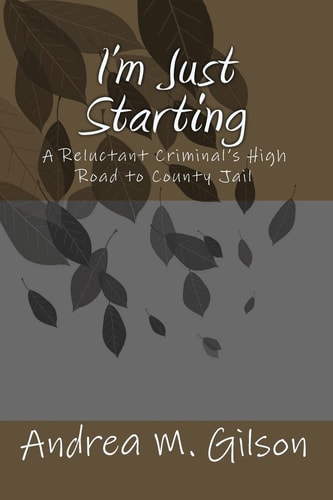 I'm Just Starting A Reluctant Criminal's High Road to County Jail