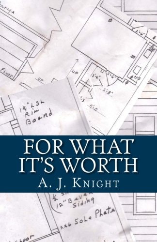 For What It's Worth A 2010 NaNoWriMo Novel