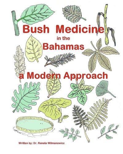 Bush Medicine in the Bahamas A Modern Approach